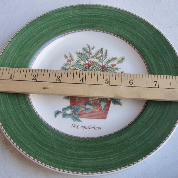 Wedgwood Sarahs Garden Holly & Ivy Ilex Aquiflorium Queens Ware 2 Salad Plates - Picture 7 of 8